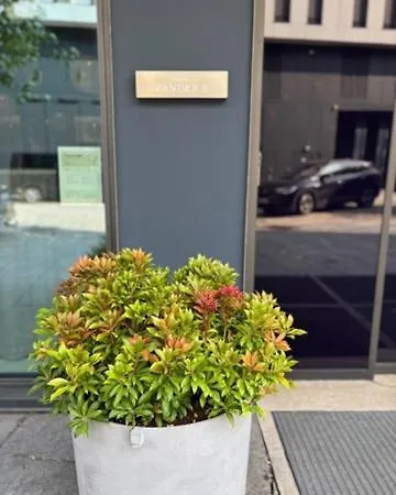 فندق زاندير كيه 4*